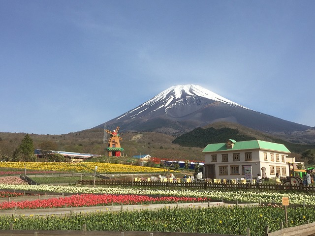 外壁塗装専門店