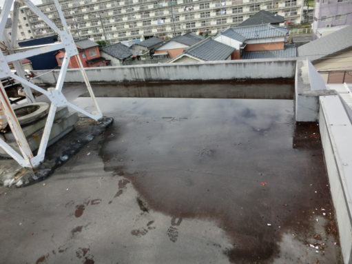 春のうちに雨漏り工事をを！ アイチャッチ