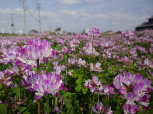 塗替え道場は、こんな事もします！！ アイチャッチ
