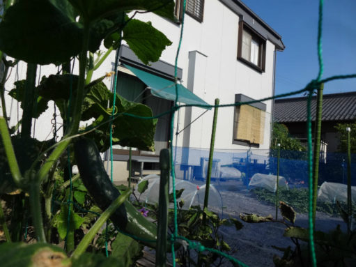 明日から雨続きの予報ですねぇ・・・ アイチャッチ