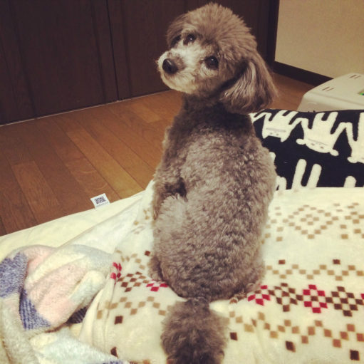 ４月です！！ アイチャッチ