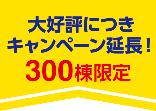 期間限定 3/1~4/31