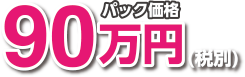 パック価格90万円(税別)