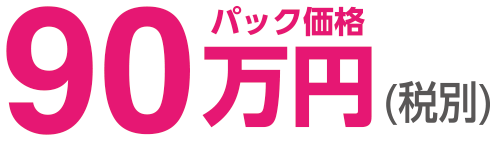 パック価格90万円(税別)