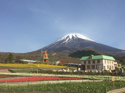 外壁塗装専門店 外壁塗装専門店